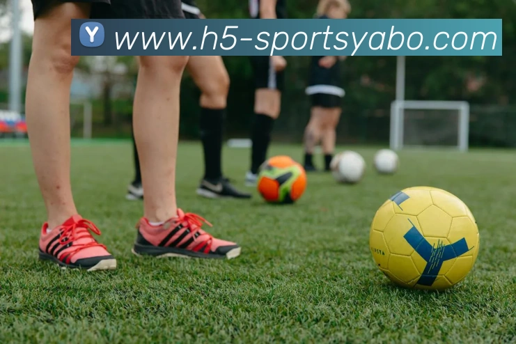 App Interface Preview